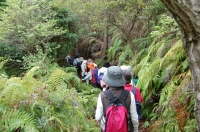 c0108460_2124540.jpg