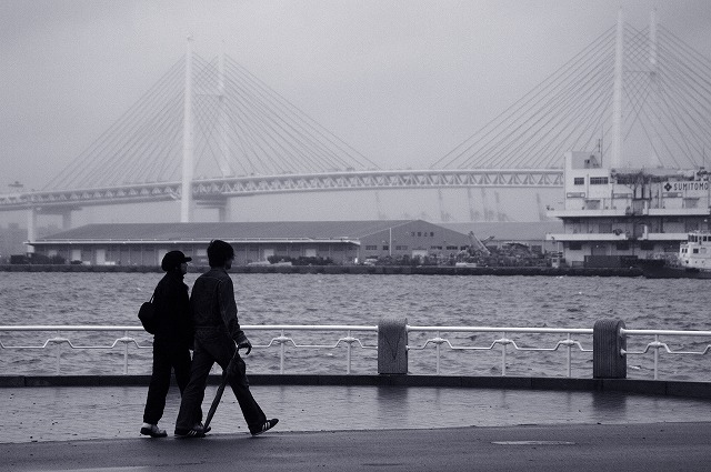 「雨の横浜にて・・・」４月１９日今日のショット_d0019260_6292896.jpg