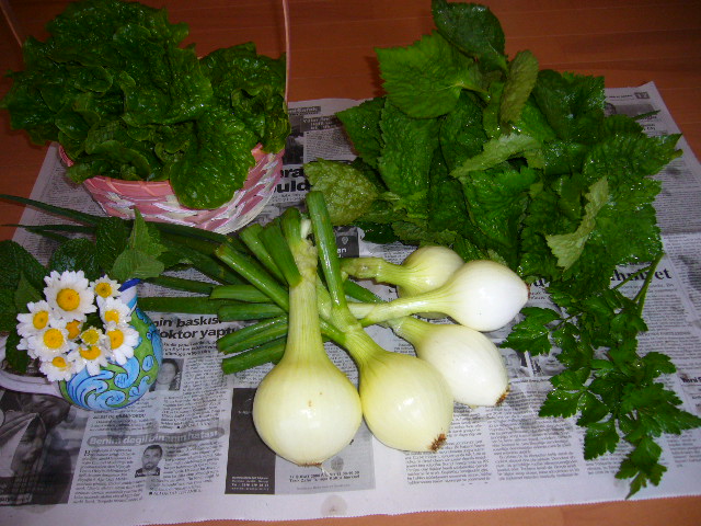 4月19日(土)和の心・ワンコもニャンコも!_f0060461_2015972.jpg