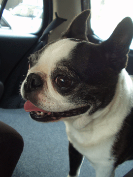 e0113473_241456.gif