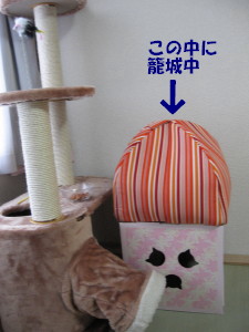 f0091785_21535393.jpg