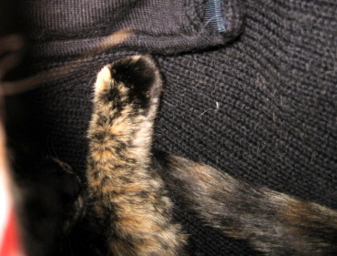 f0091785_2213587.jpg