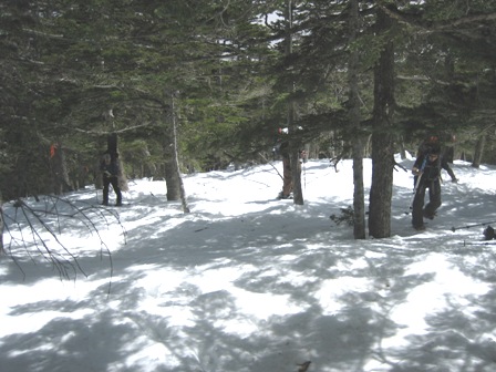 c0147398_13563133.jpg