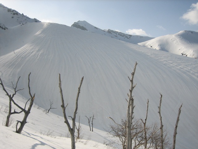 c0147398_1435760.jpg
