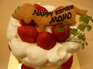 HAPPY BIRTHDAY　もも♪_c0112101_23363782.jpg