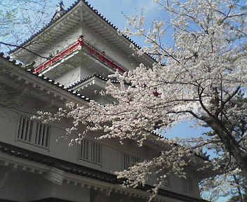 b0067302_14501596.jpg