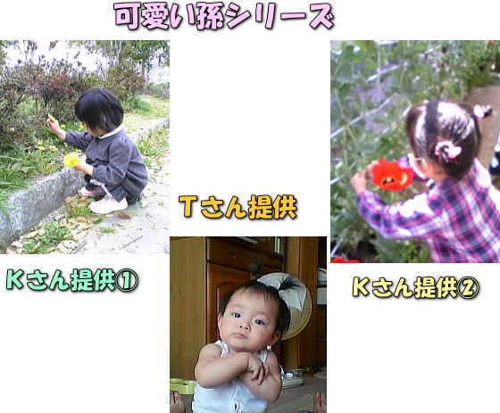 投稿写真 可愛い孫シリーズ 大分県聴覚障害者センターブログ 投稿写真 可愛い孫シリーズ 大分県聴覚障害者センターブログ