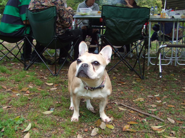 こじんまりとＢＢＱ　２００８年４月２０日　日曜日_f0090117_23231100.jpg