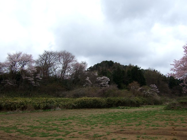 f0143119_21185153.jpg
