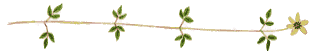 e0125722_1225107.gif