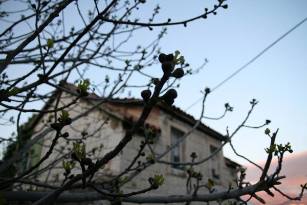 b0132924_0385760.jpg