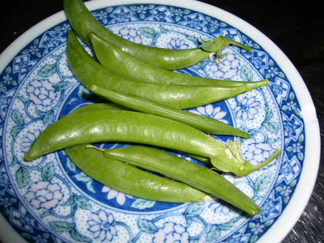 c0117525_7483656.jpg