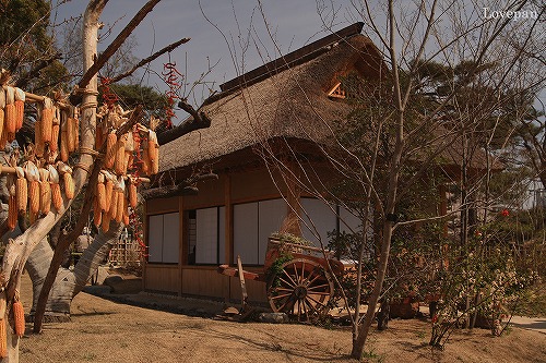 c0136926_21453168.jpg