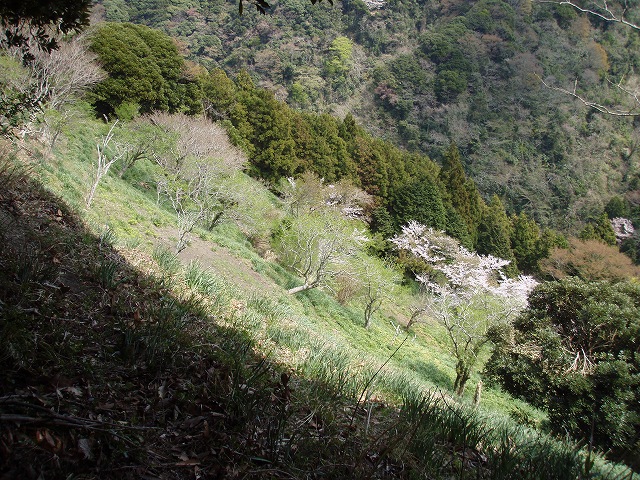 2008年4月5日(土)夜~6日(日) 鋸山・梨沢_b0051640_010159.jpg