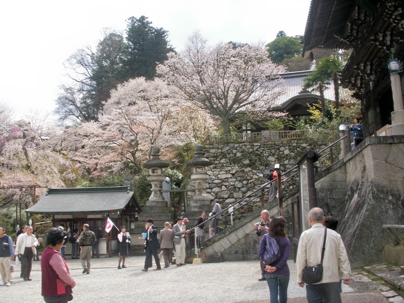 「　大和路　七　長谷寺の山門にて　４月９日　　　０８．０４．２０　」_d0094543_14143886.jpg