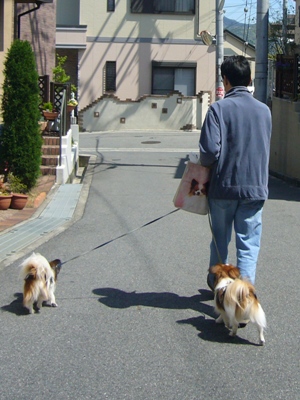e0100046_15563725.jpg