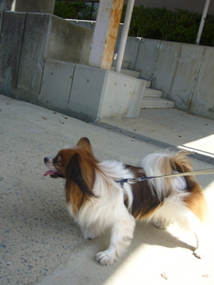 e0100046_1625622.jpg