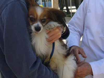 e0100046_1692280.jpg