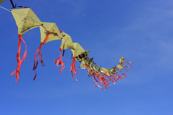 kites fly_c0112158_11345185.jpg