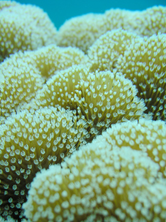b0062363_20654.jpg