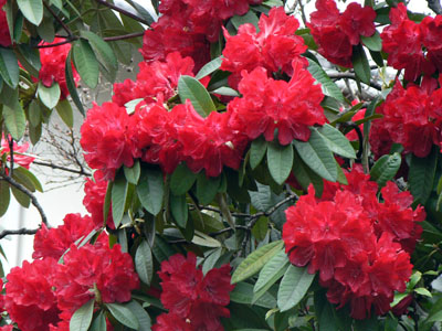 f0086169_22205693.jpg