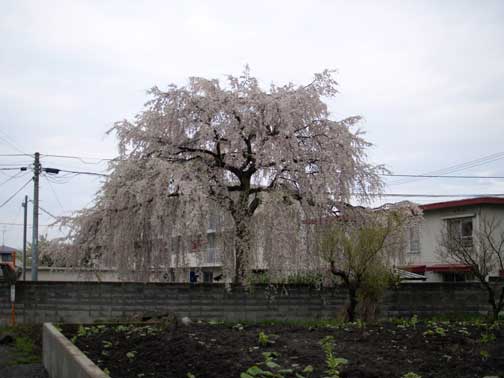b0072176_9574367.jpg