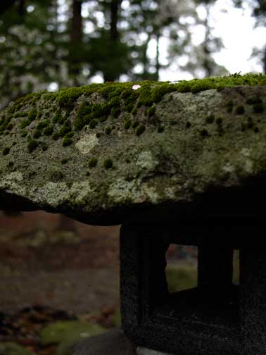 b0072176_9575449.jpg