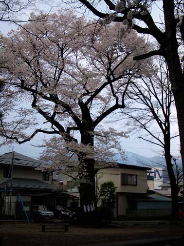 b0072176_958422.jpg