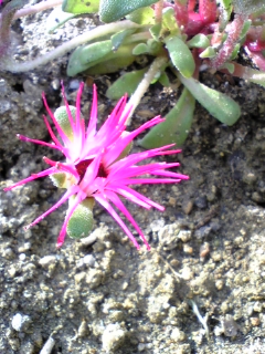 e0046477_17173529.jpg