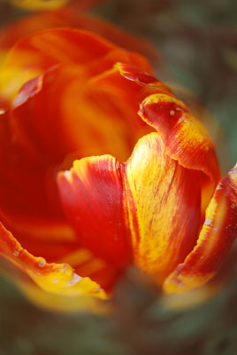 c0135079_16451.jpg