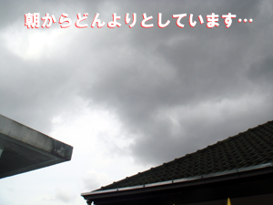 今回ばかりは本気です…_f0144385_13425540.jpg