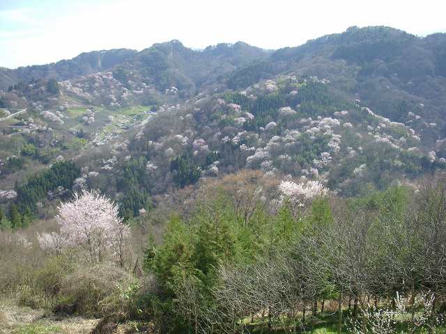 b0112186_23363763.jpg