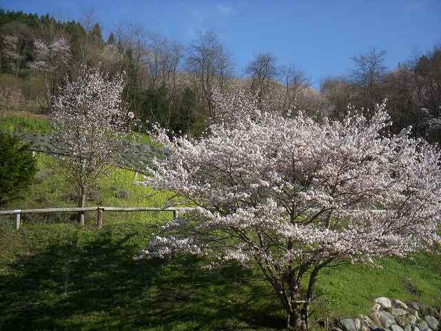 b0112186_2343555.jpg