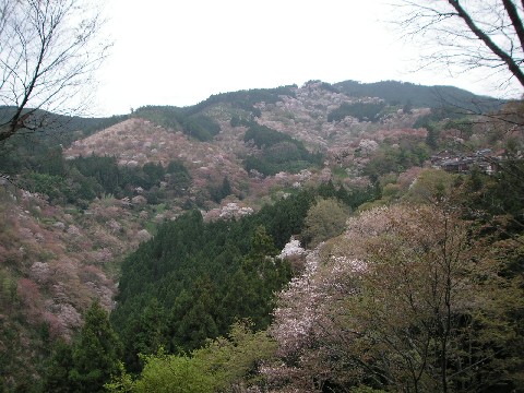 c0108693_15091.jpg
