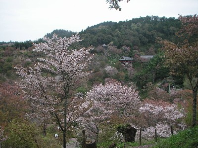 c0108693_15518.jpg
