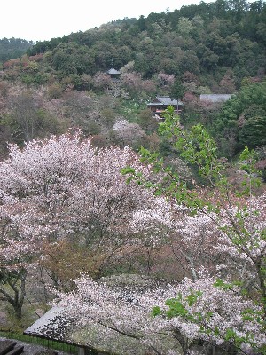 c0108693_157219.jpg