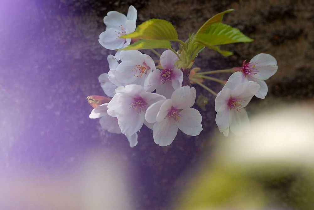 赤塚植物園　板橋区　東京都_a0078397_17141812.jpg