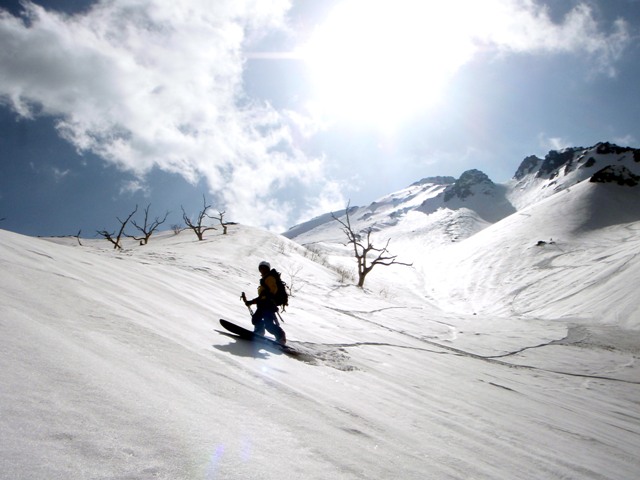 c0147398_11484258.jpg