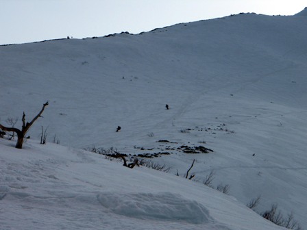 c0147398_11501821.jpg