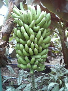 e0143298_225531.jpg