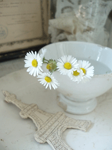 c0129702_20183768.gif