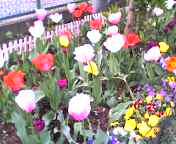 c0071003_8274344.jpg