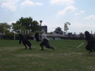 c0052304_6135529.jpg