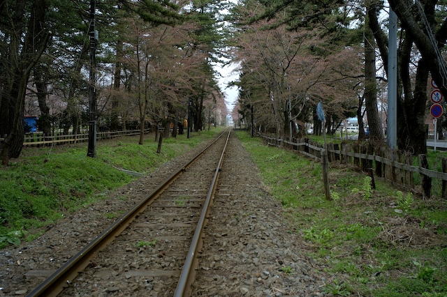 c0080716_31966.jpg