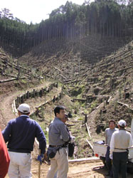 京の山　杣人工房・里山交流会(前編)_d0105721_20561159.jpg