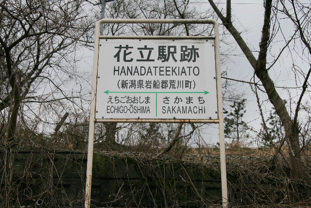 e0064133_07449.jpg