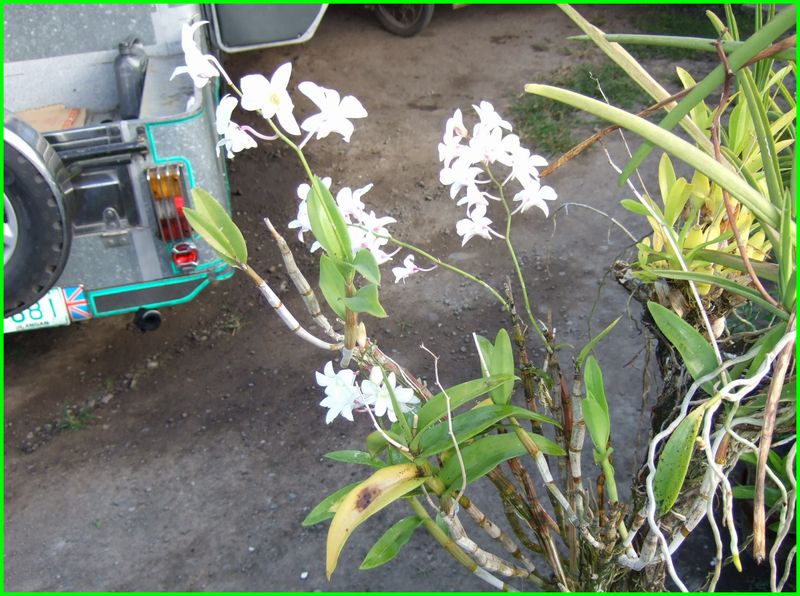 お山の学校でラジコンヘリ_c0004734_18525130.jpg