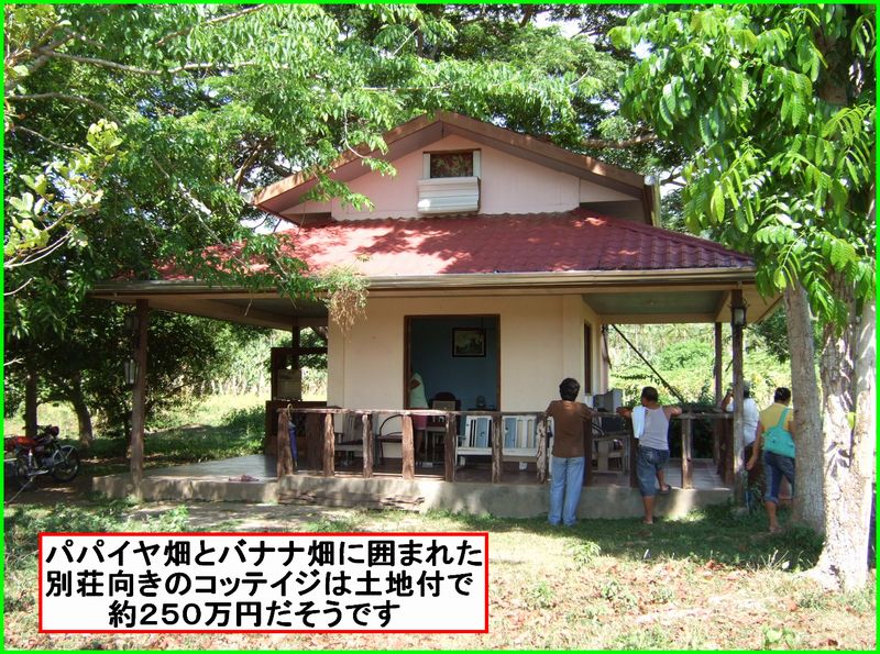 お山の学校でラジコンヘリ_c0004734_20532019.jpg