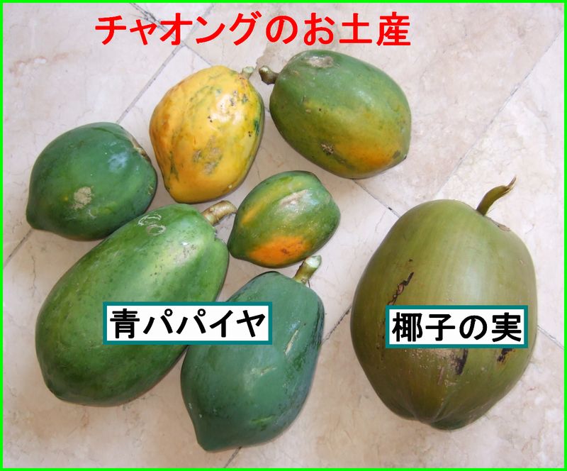 お山の学校でラジコンヘリ_c0004734_20592013.jpg