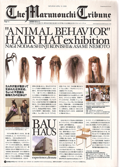 “ANIMAL BEHAVIOR”HAIR HAT exhicition_e0144834_13224963.jpg